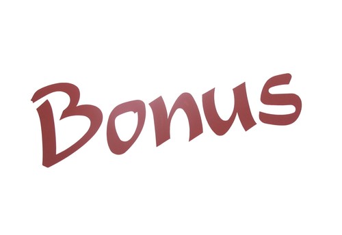 Véritable neuf ford bonus - neuf,