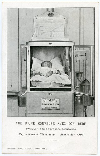 Couveuse alexandre lion - alexandre,