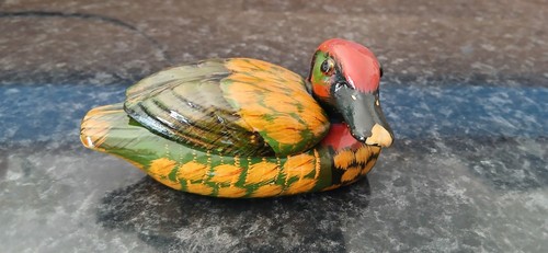 canard