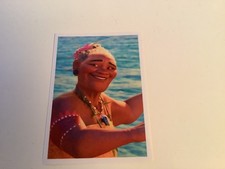 AUTOCOLLANT PANINI CARREFOUR