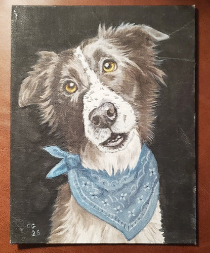 Border collie original - border,
