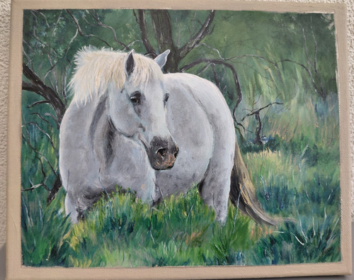 Tableau acrylique cheval blanc - acrylique,