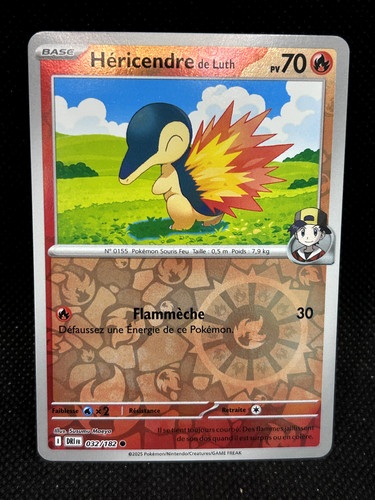 Carte pokemon hericendre - carte,