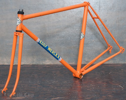 Vintage eddy merckx - merckx, molteni