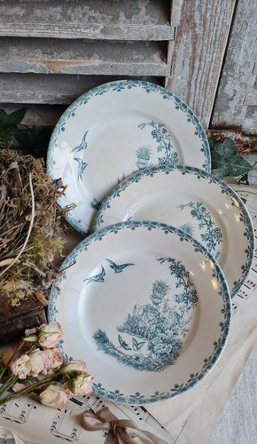 Anciennes assiettes plates - anciennes,