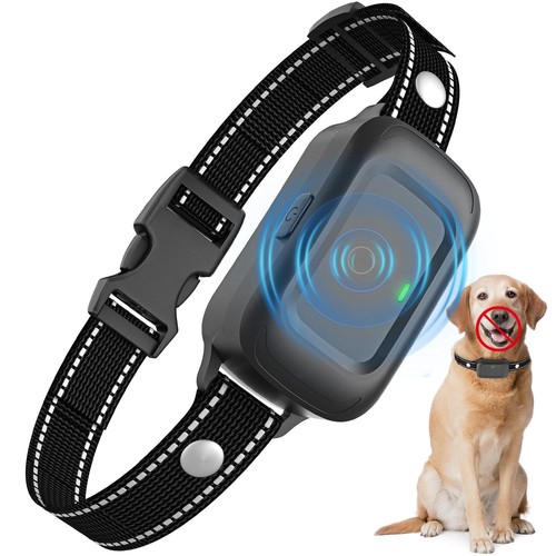 Collier anti aboiement - aboiement, chien
