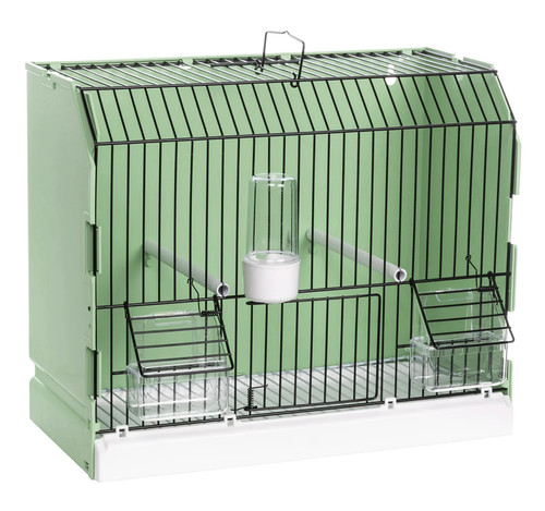 2gr bird exposition - exposition, cage