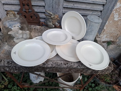 Assiettes semis creuses - semis,