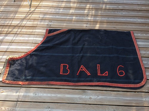 Rare tapis cheval 1913 - rare,