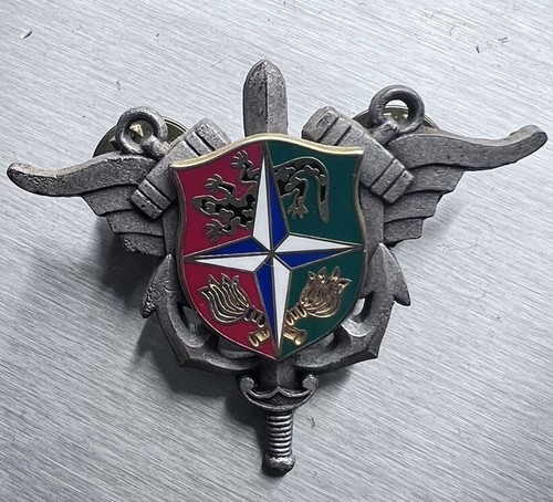 Original militaire insigne - original,