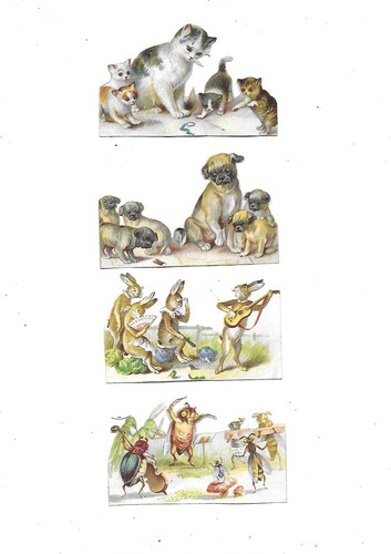 Chromos découpis animaux - 4,