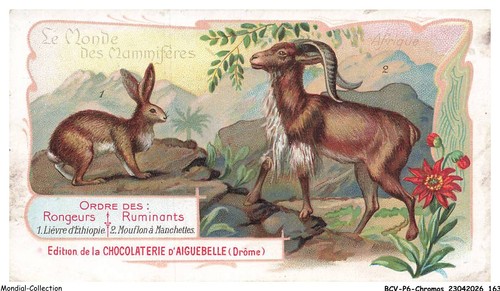 Bcvp6 0482 chromos chocolat - -,