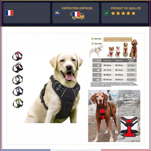 Harnais chien anti traction - chien, anti-traction