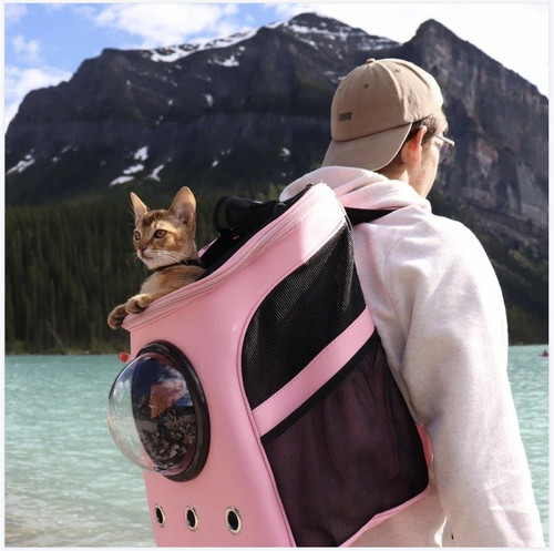 Sac transport pour chat - transport,