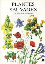 Plantes sauvages - Tomanova