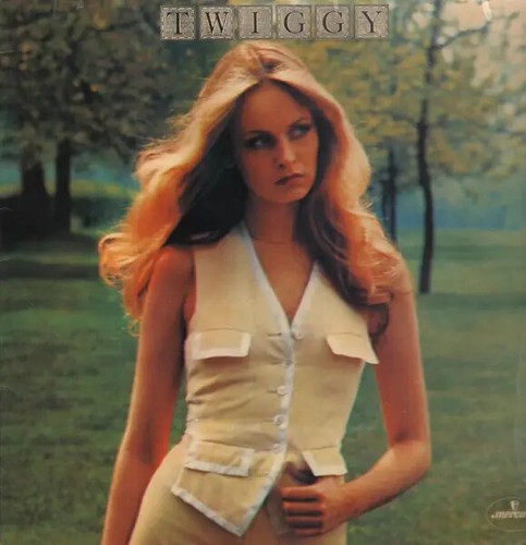 Twiggy near mint - vinyle, lp
