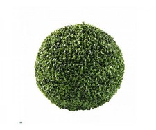 Sphère De Buis Diamètre 18CM