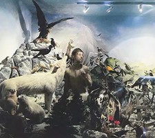 Ersatz, Christine Ott, Vincent