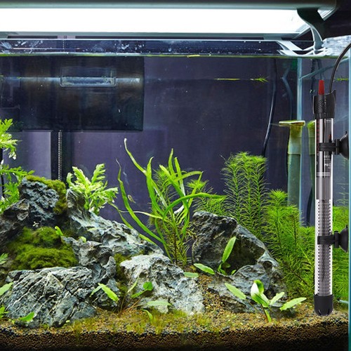 Chauffage aquarium 300 w - d'aquarium,