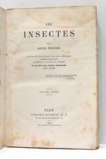 FIGUIER LES INSECTES