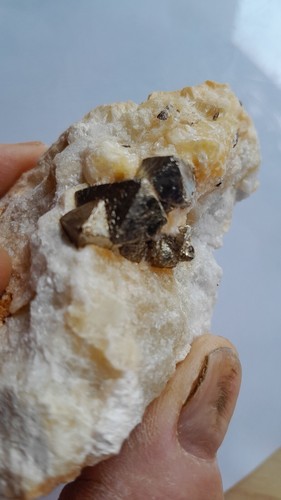 Pyrite sur talc - , france