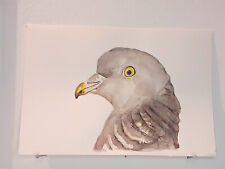 Pigeon Ramier ORIGINAL WATERCOLOR Bird Portrait Painting Fields Forest
