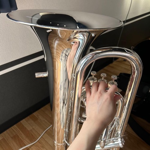 Argent euphonium willson - argent,