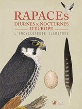 Rapaces diurnes et nocturnes