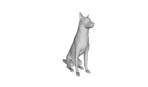 Printle chien berger allemand - chien,