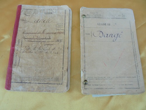 Livrets militaires dragon - 2,