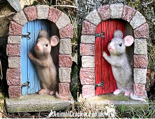 Souris porte fairy - souris,