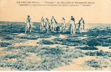 GARD LE CAILAR "Manade" du Marquis de Baroncelli Javon