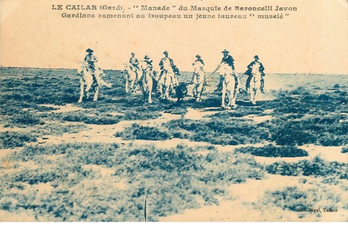 Gard cailar manade - , "