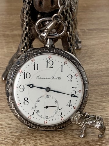 International watch company - international,