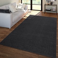Salon Tapis Poils Ras Design