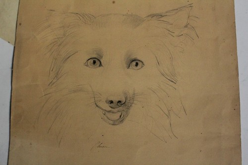 Dessin original chien - original, spitz