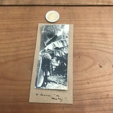 antique photograph africa N194 the banana 