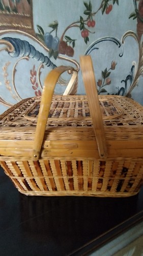 Belle petite valise/Panier