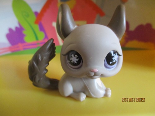 Petshop chinchilla 687 avec - chinchilla,