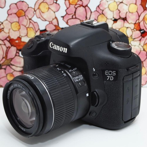 Appareil photo reflex