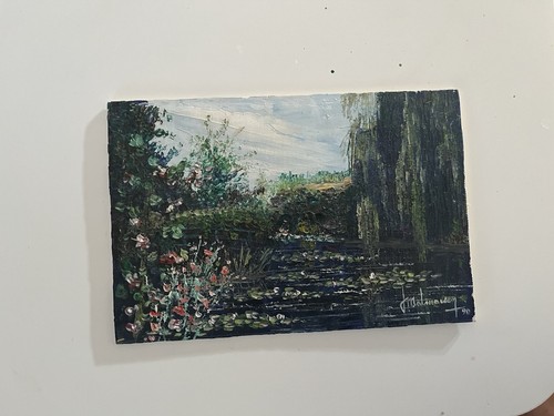 Paysage étang aux nénuphars