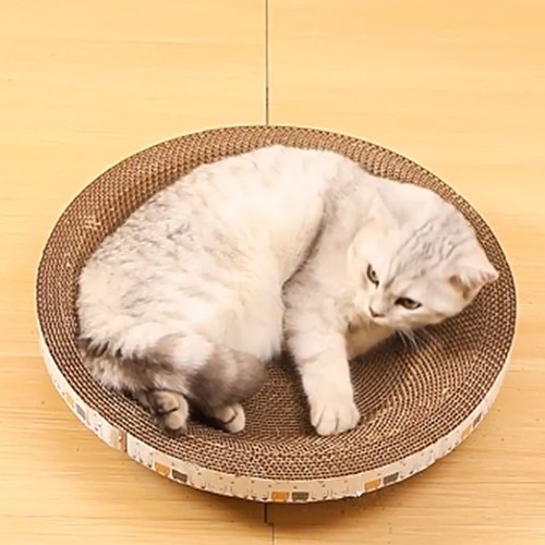 Lit griffoir chat - griffoir, l