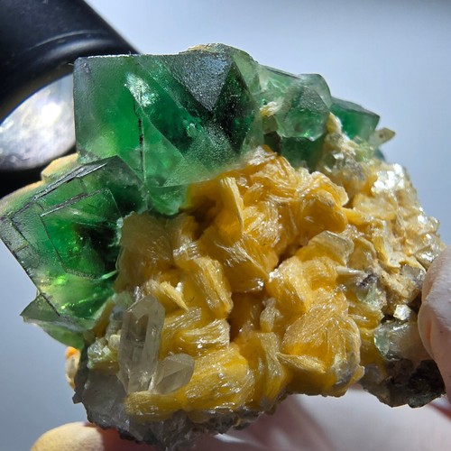 Fluorite fantôme tourmaline - fluorite,