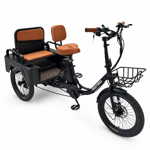 Tricycle électrique adulte - tricycle,