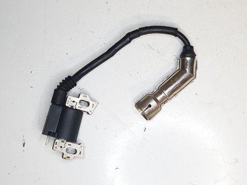 Bobine moteur bison bs170f - moteur,