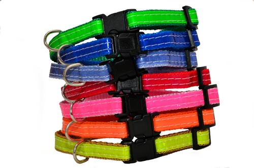 Collier chien pour chiot en - collier,