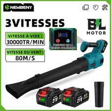 Violente Souffleur à batterie