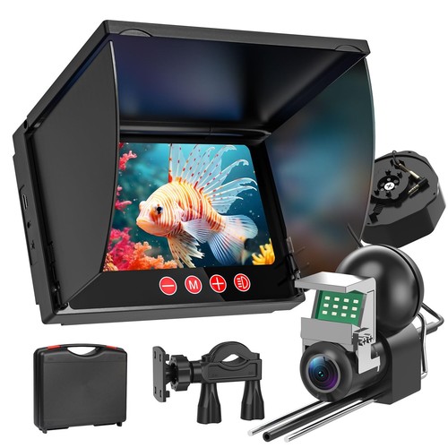 Underwater fishing - underwater,