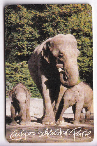 Europe telecarte phonecard - ,