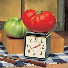 25 TOMATES BIG ZAC GRAINES